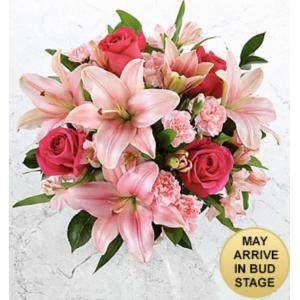 FK1034 You had me at Pink - Fresh Cut Flowers (no vase)