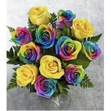 BD18 Time to Celebrate, rainbow rose bouquet (no vase)