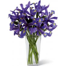 B26-4392 The FTD® Iris Riches Bouquet
