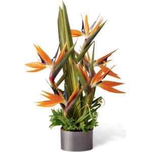 C21-4874 The FTD® Tropical Bright Arrangement