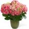 C24-4878 The FTD® Pink Hydrangea Planter
