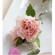 D12-4664 The FTD® Pink Spray Rose Boutonniere