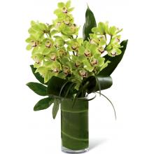 LX118 Vision Luxury Orchid Bouquet
