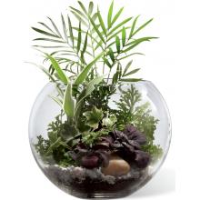 S27-4495 The FTD® Woodland Greens Terrarium
