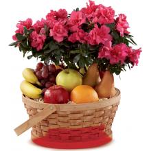 S56-4573 The FTD® Encircling Grace Fruit & Plant Basket