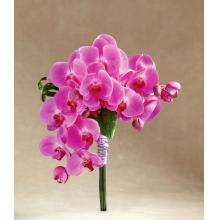 W39-4719 The FTD® Glorious Bouquet