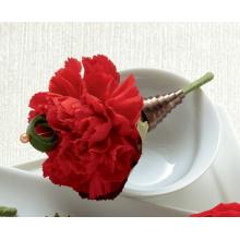 W54-4750 The FTD® Red Carnation Boutonniere