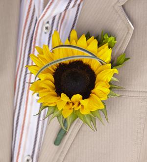 W48-5104 The FTD® Free Spirit Boutonniere